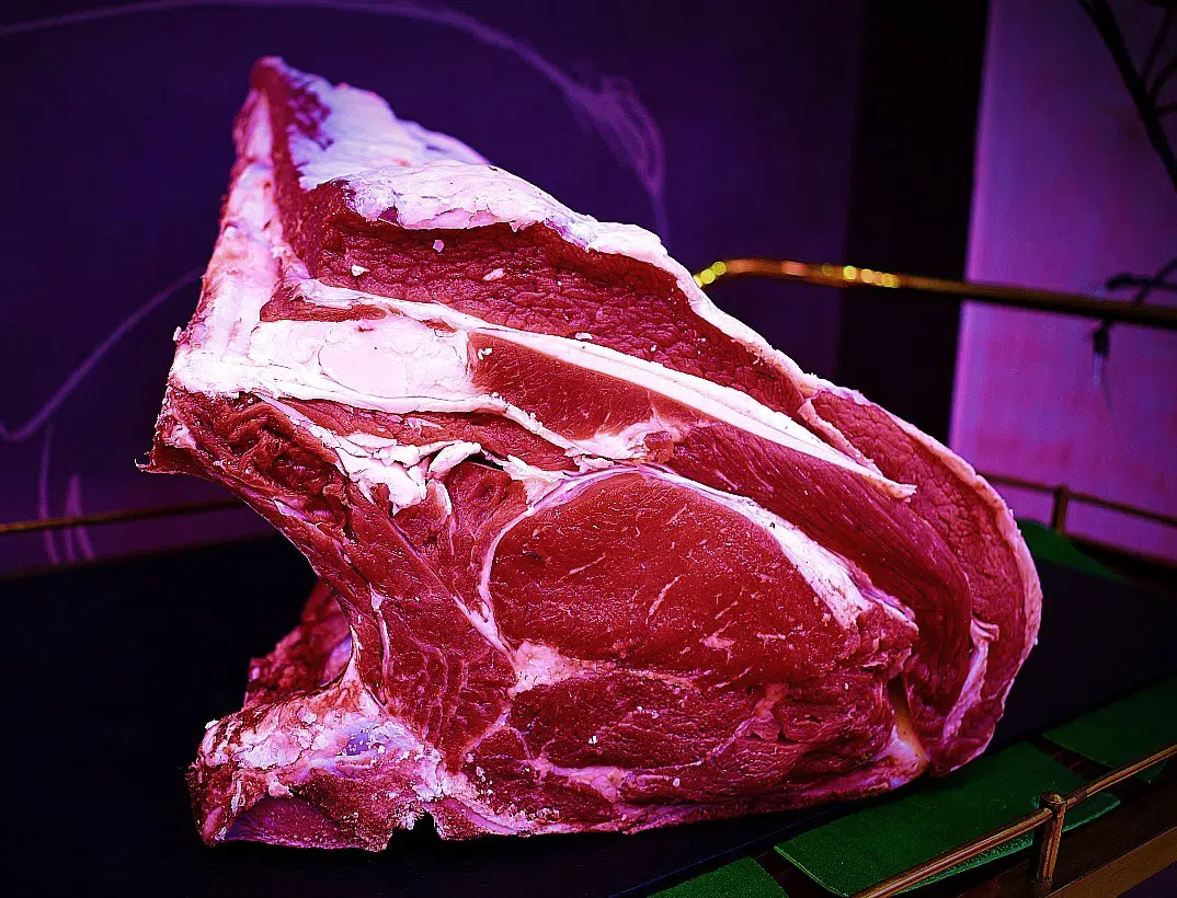 chuletón de añojo