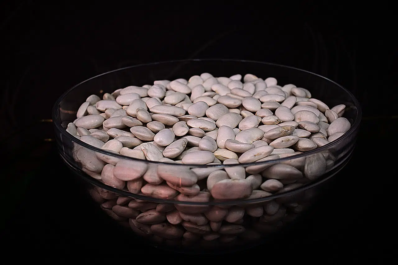 farm beans