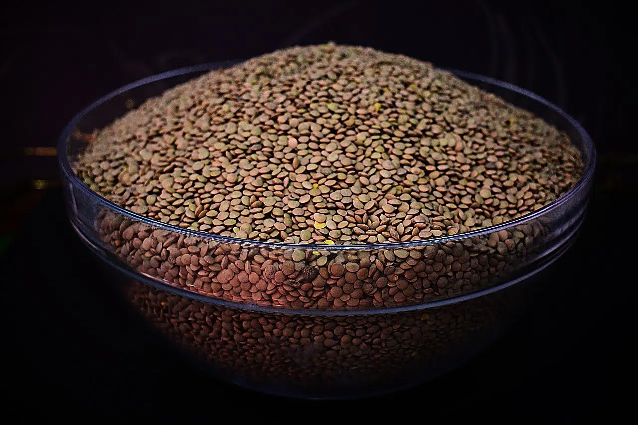 small lentils