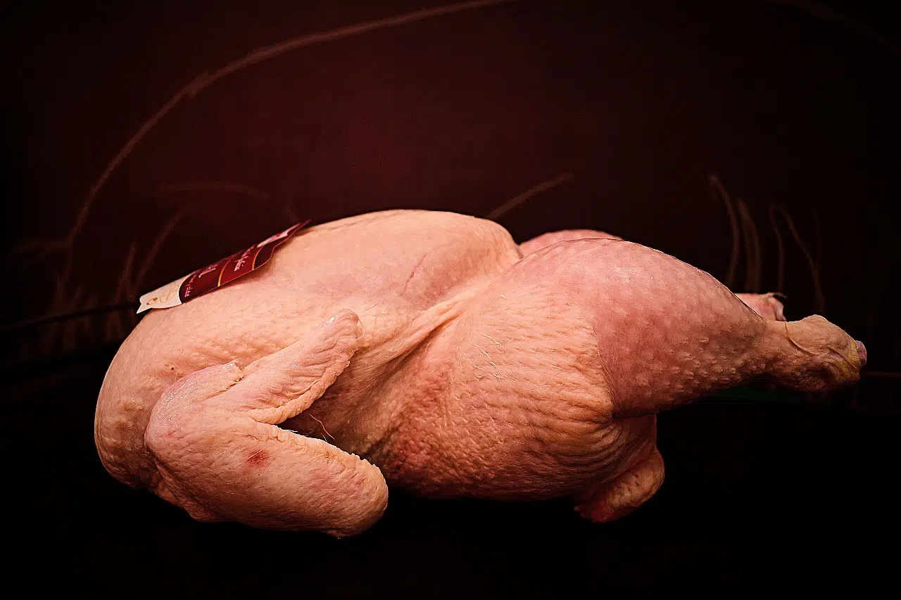 chicken