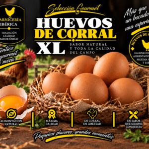 Huevos de Corral XL (6 unidades)