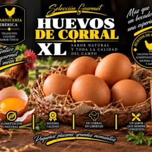 XL Free Range Eggs (6 units)